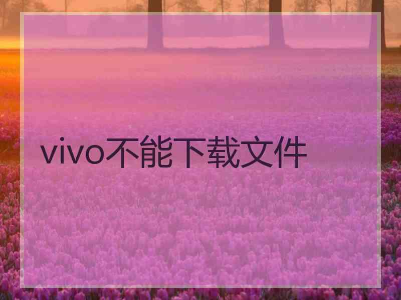 vivo不能下载文件