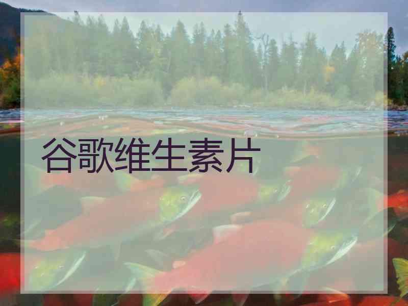谷歌维生素片