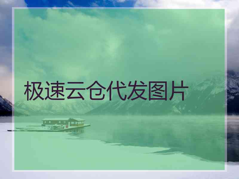 极速云仓代发图片
