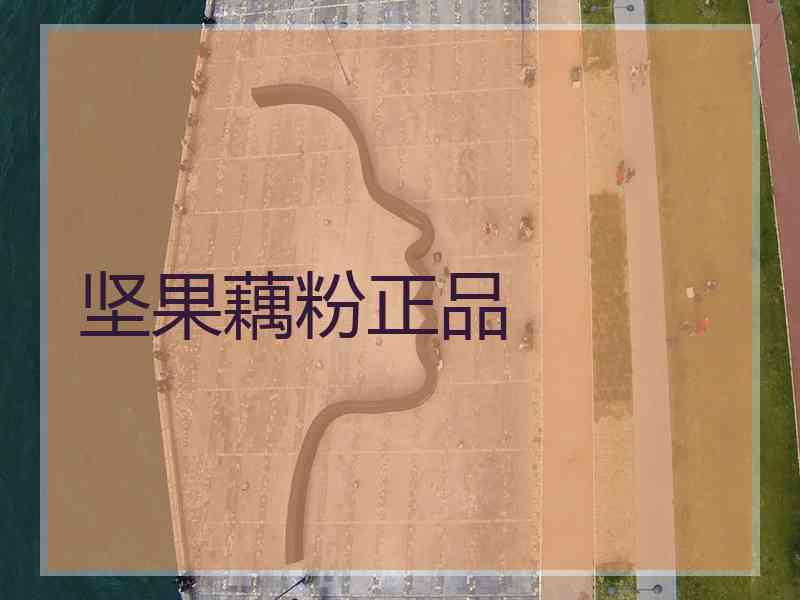 坚果藕粉正品