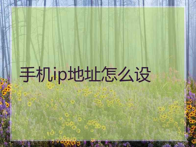 手机ip地址怎么设