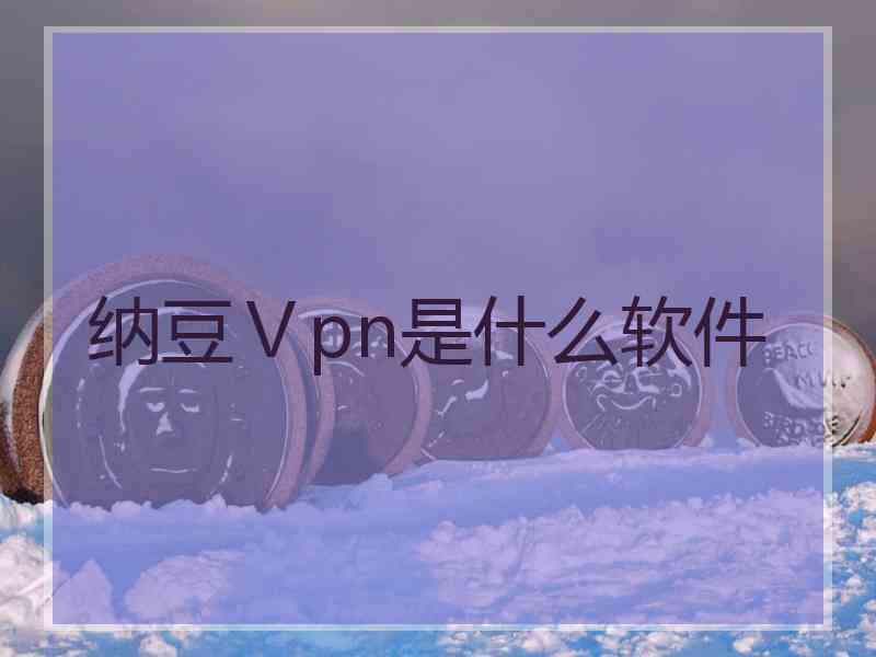 纳豆Ⅴpn是什么软件