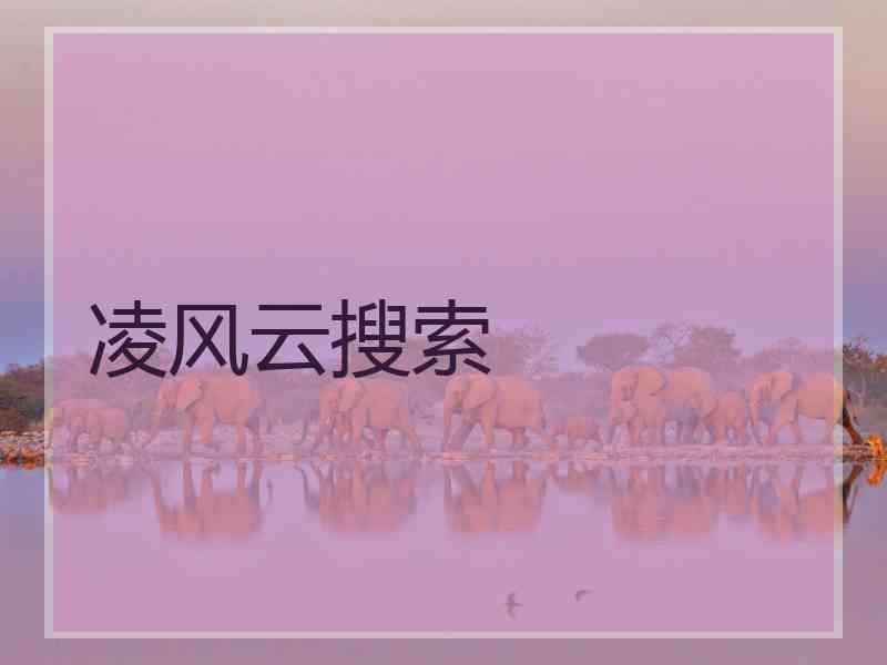 凌风云搜索