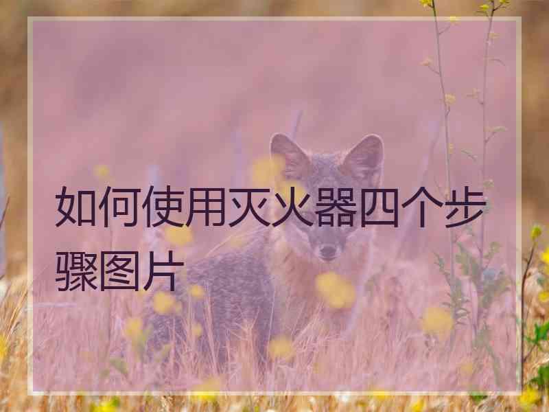 如何使用灭火器四个步骤图片