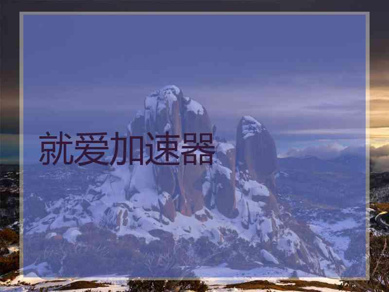 就爱加速器
