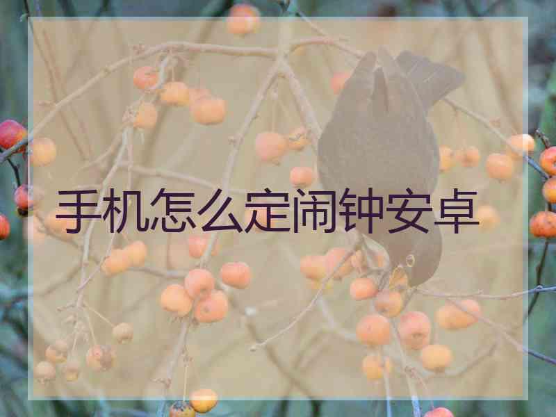 手机怎么定闹钟安卓