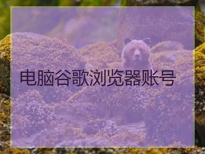 电脑谷歌浏览器账号