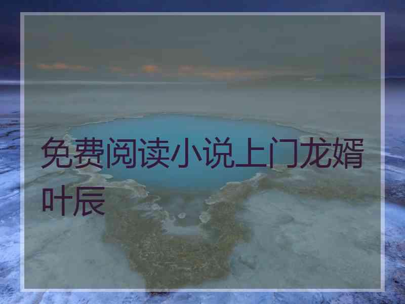 免费阅读小说上门龙婿叶辰
