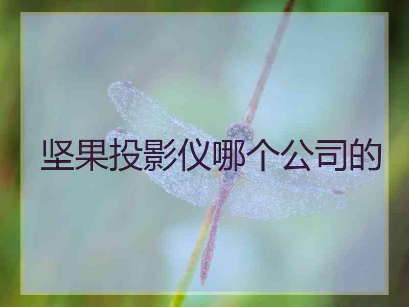 坚果投影仪哪个公司的