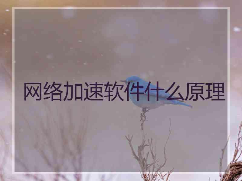 网络加速软件什么原理