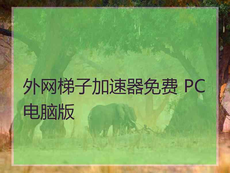 外网梯子加速器免费 PC电脑版