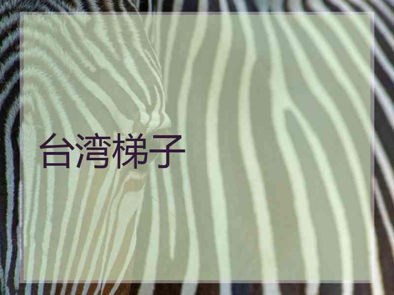 台湾梯子