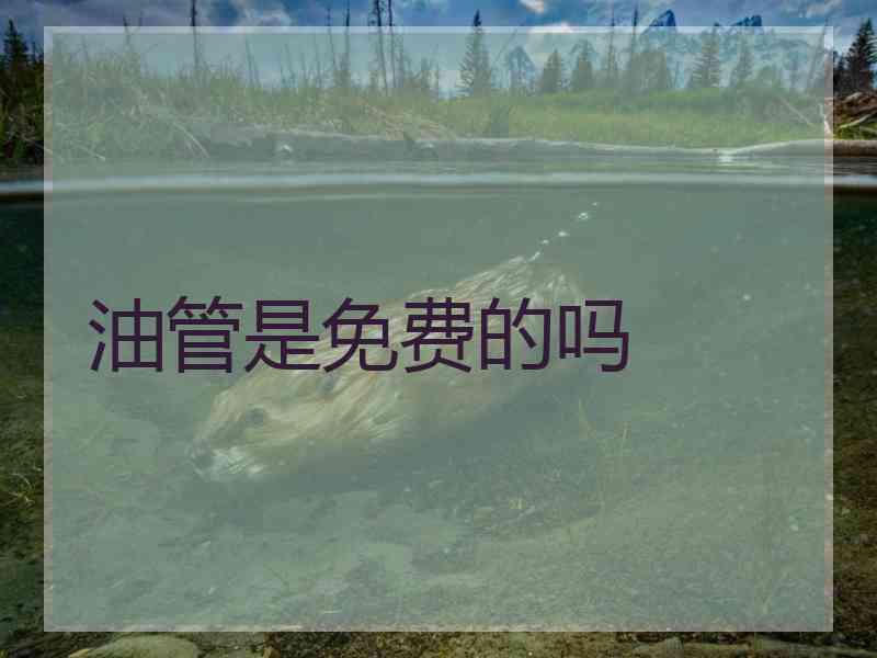 油管是免费的吗
