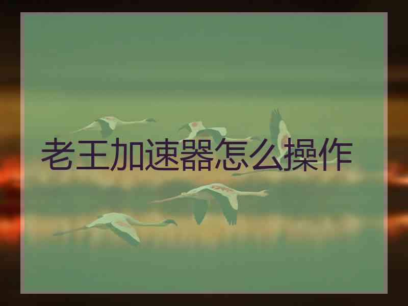 老王加速器怎么操作