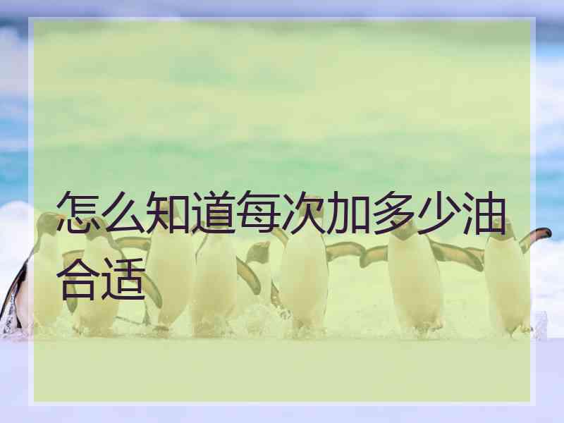 怎么知道每次加多少油合适