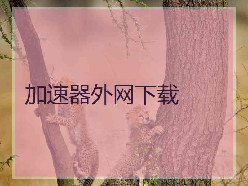 加速器外网下载