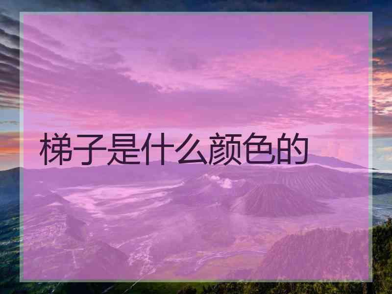梯子是什么颜色的