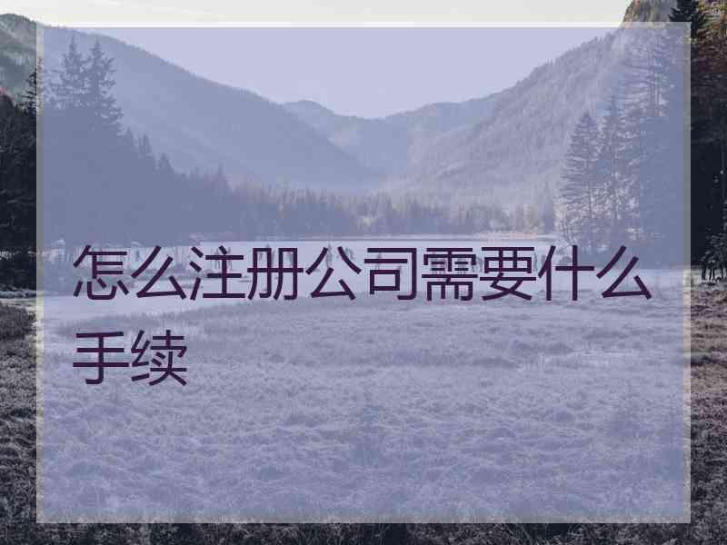 怎么注册公司需要什么手续