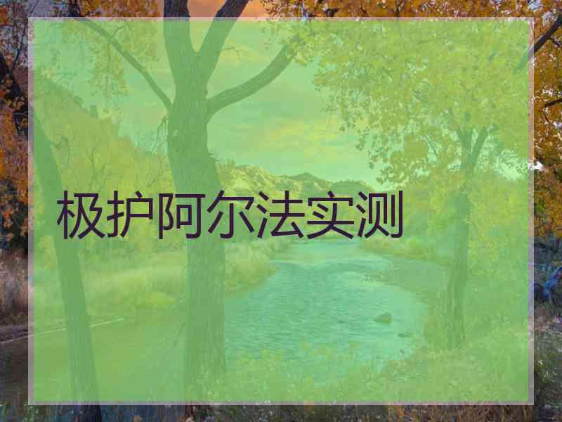 极护阿尔法实测