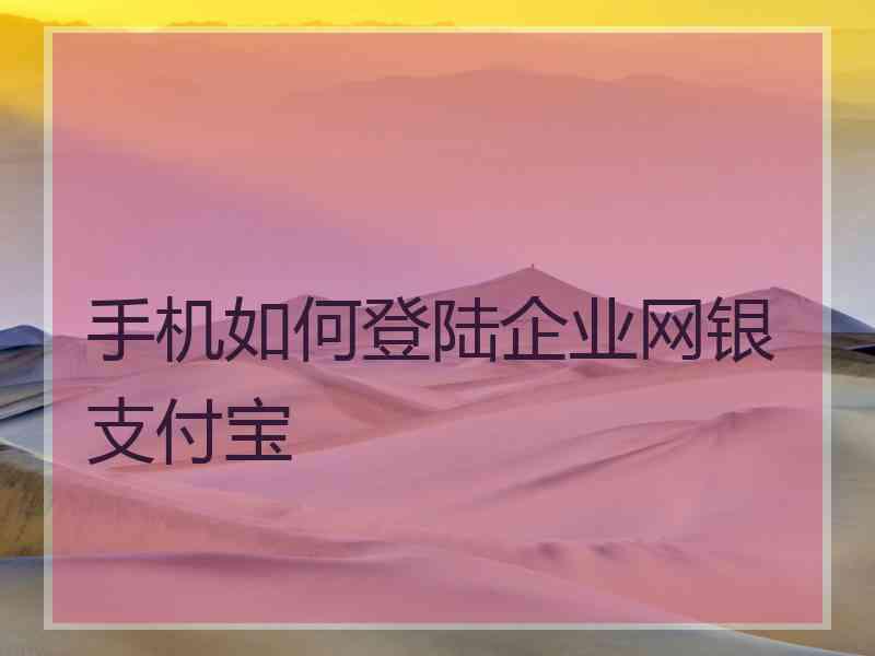 手机如何登陆企业网银支付宝