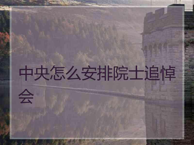 中央怎么安排院士追悼会