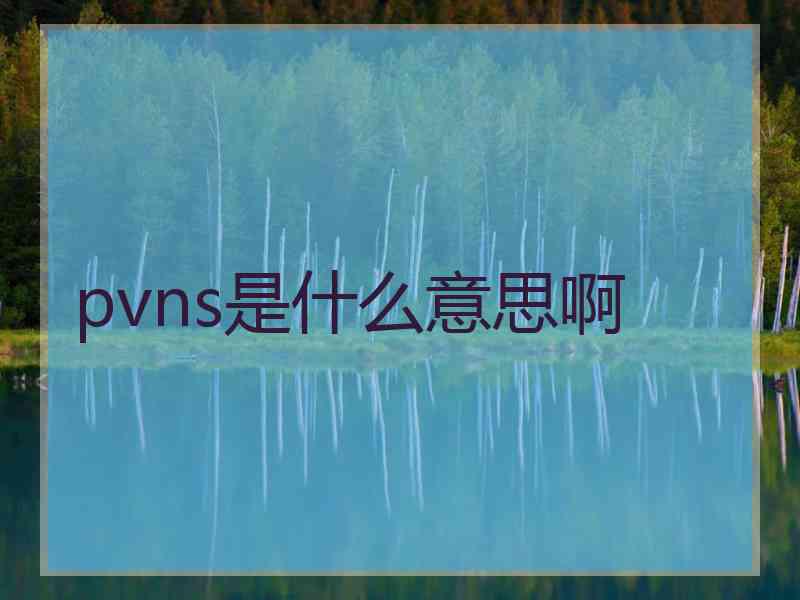 pvns是什么意思啊