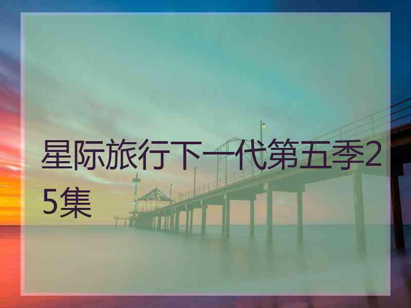 星际旅行下一代第五季25集