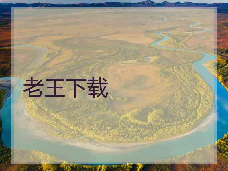 老王下载