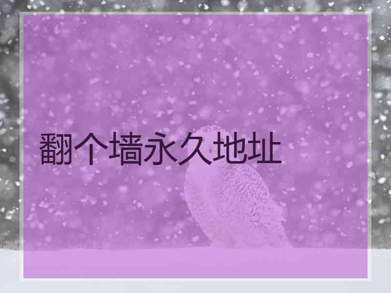 翻个墙永久地址