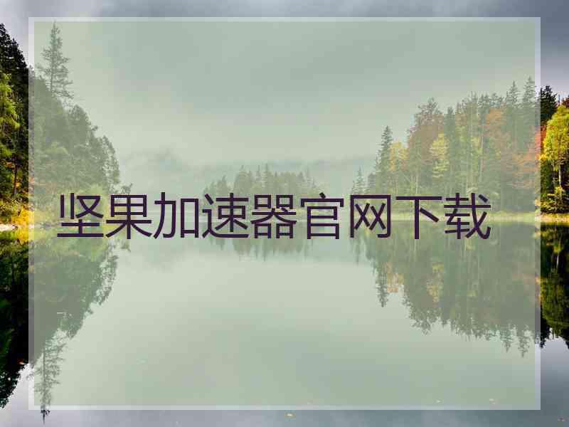 坚果加速器官网下载