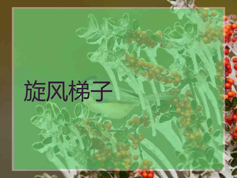 旋风梯子