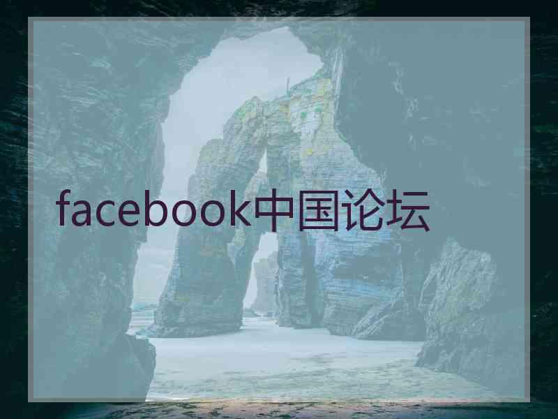 facebook中国论坛