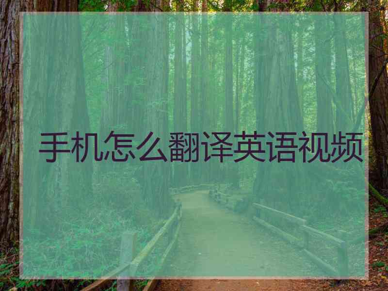 手机怎么翻译英语视频