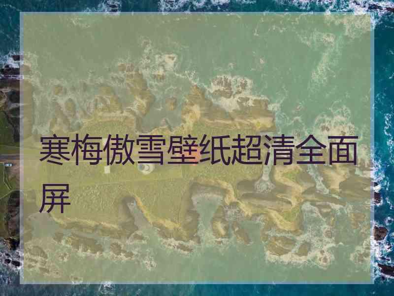 寒梅傲雪壁纸超清全面屏
