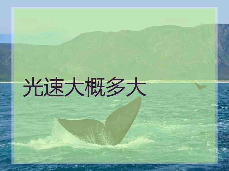 光速大概多大