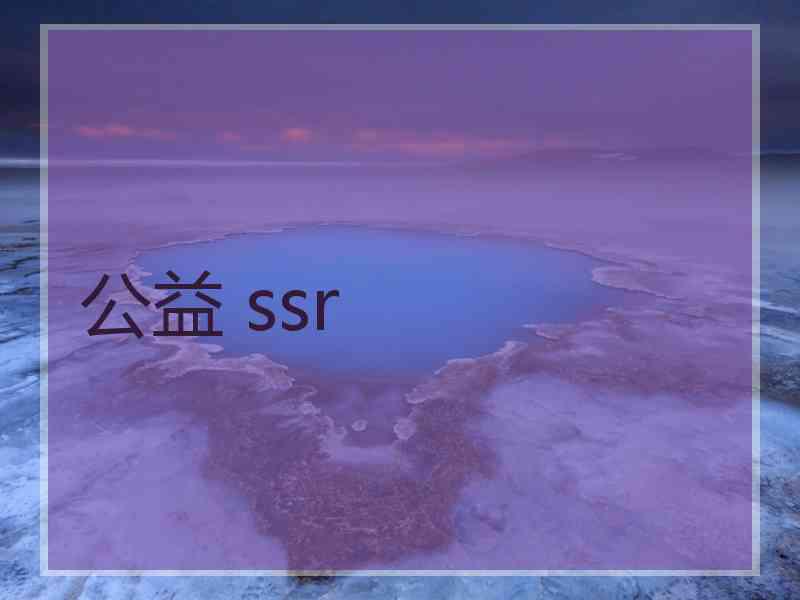 公益 ssr