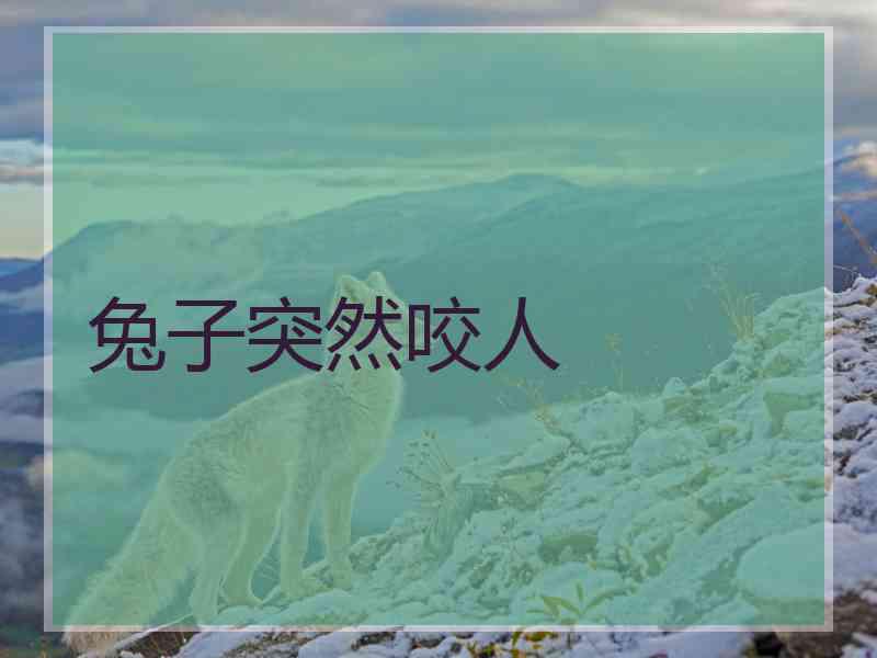 兔子突然咬人