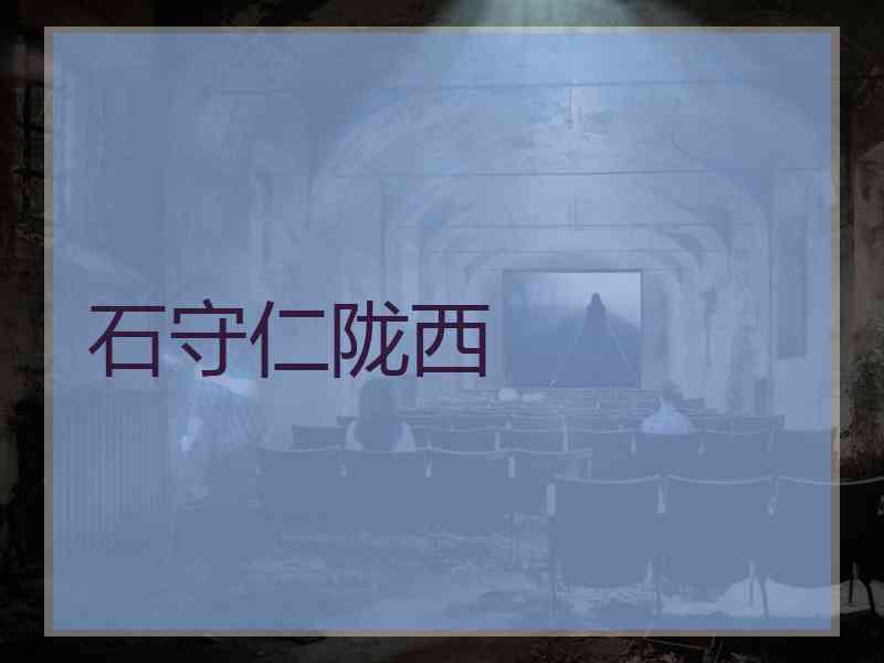 石守仁陇西