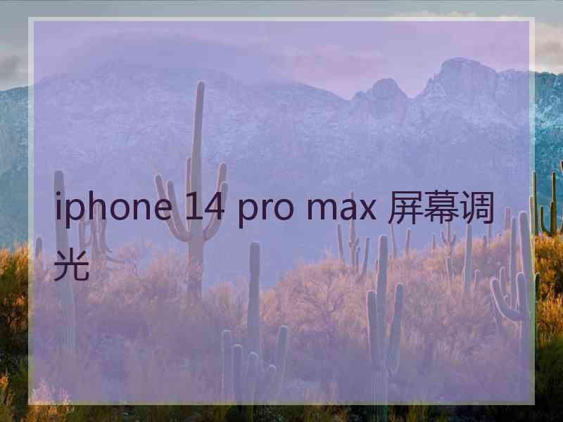 iphone 14 pro max 屏幕调光