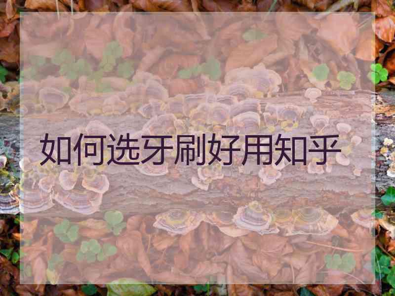 如何选牙刷好用知乎