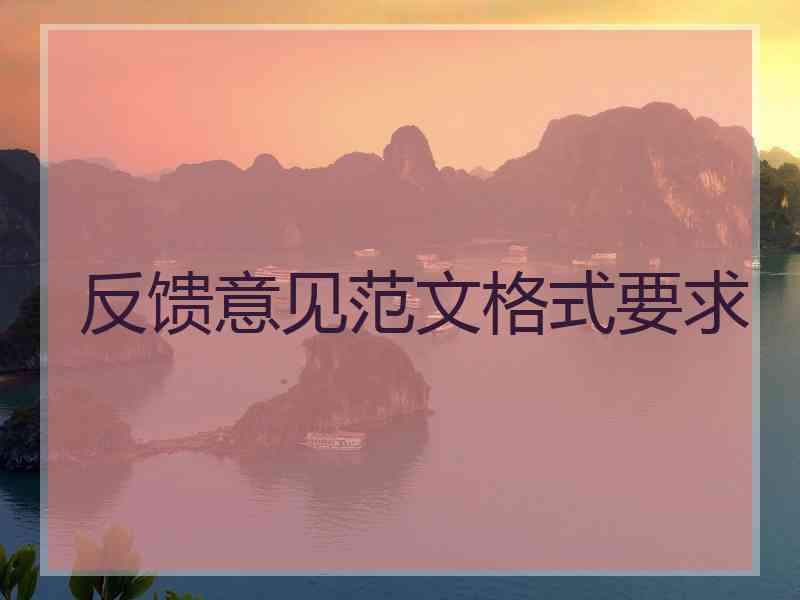 反馈意见范文格式要求