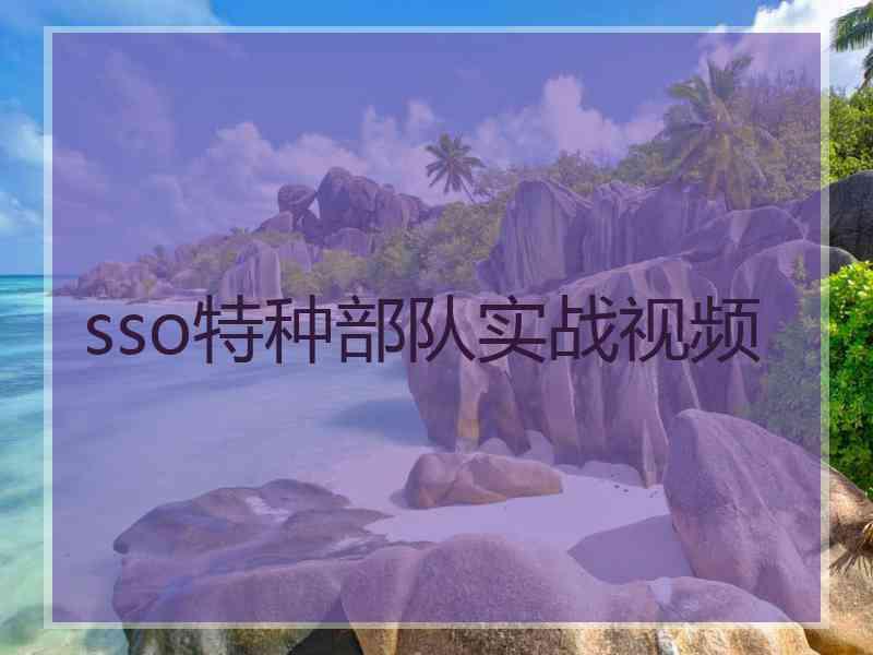 sso特种部队实战视频