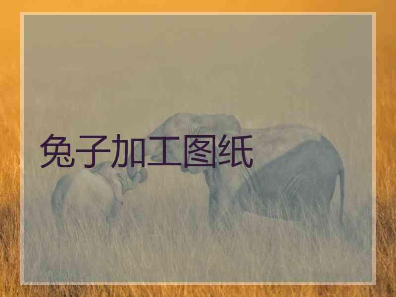 兔子加工图纸