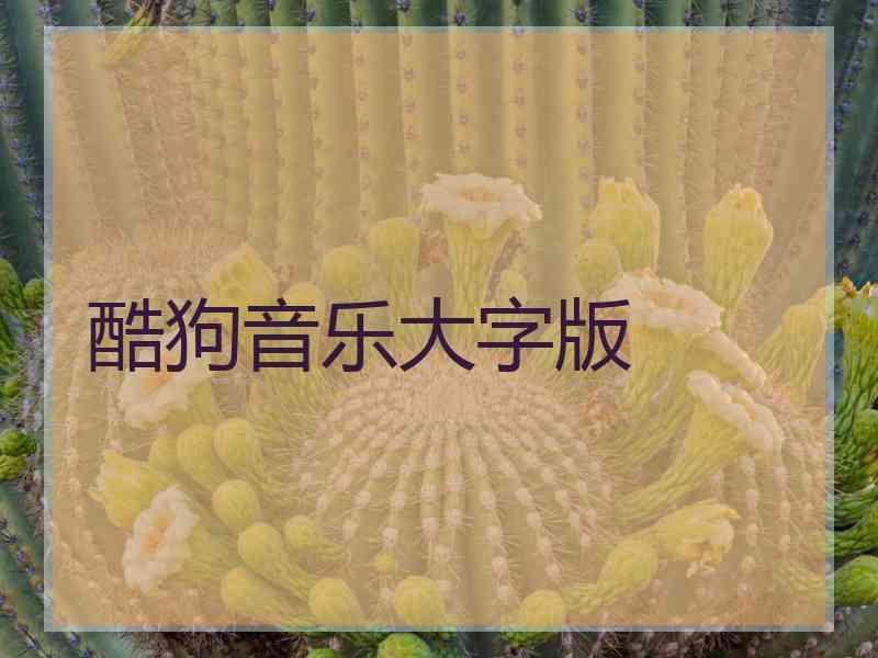 酷狗音乐大字版