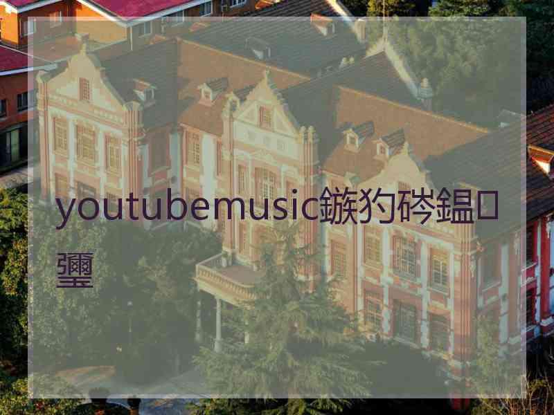 youtubemusic鏃犳硶鎾瓕