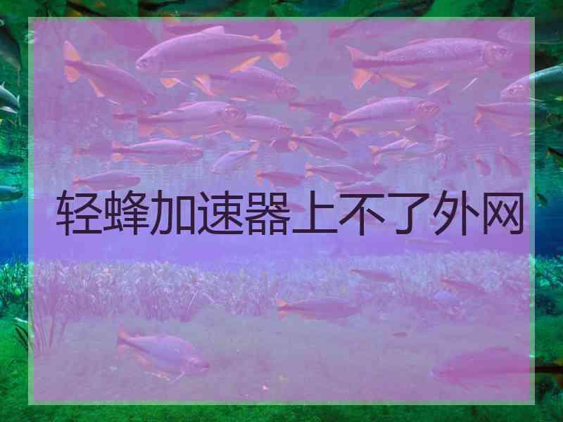 轻蜂加速器上不了外网