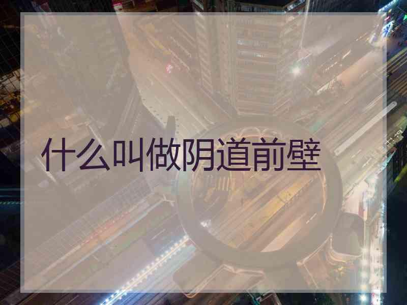 什么叫做阴道前壁