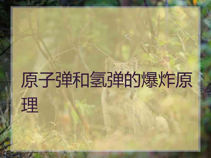 原子弹和氢弹的爆炸原理