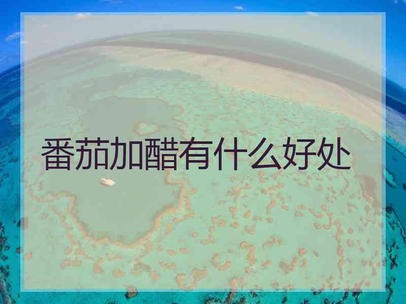 番茄加醋有什么好处