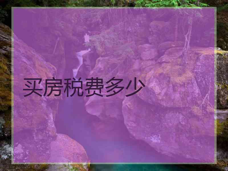 买房税费多少